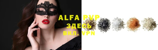 прущие грибы Абинск