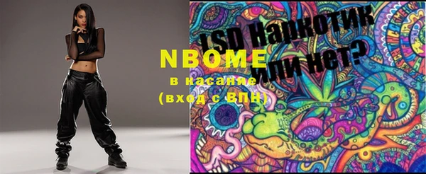 прущие грибы Абинск
