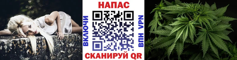 Марихуана конопля  даркнет сайт  Новосиль 